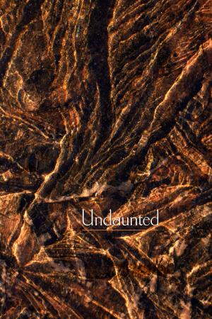 Undaunted: The Budhha's teachings on aging, illness, death and the deathless