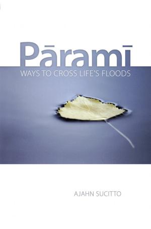 Parami, Ways to Cross Life's Floods