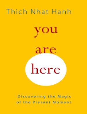 You are here